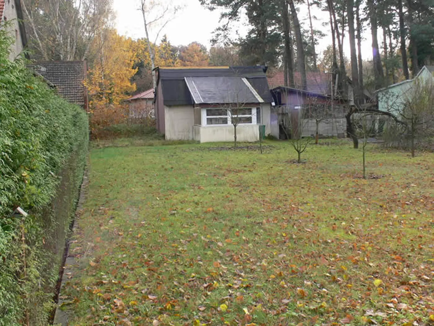 Grundstück Bergfelde von Stadtrandimmobilien 